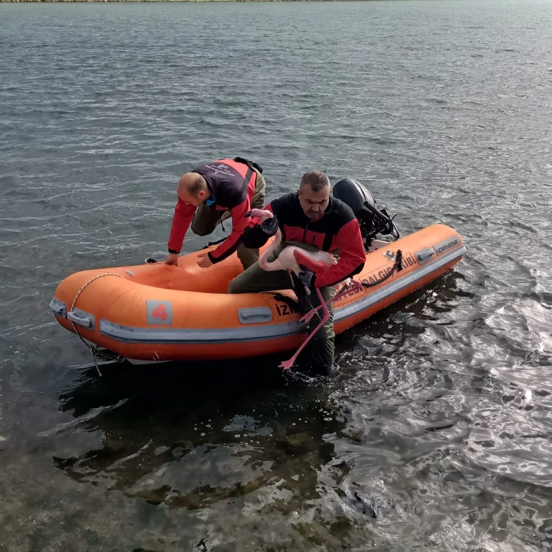 Misina tuzağından &ouml;zg&uuml;rl&uuml;ğe
