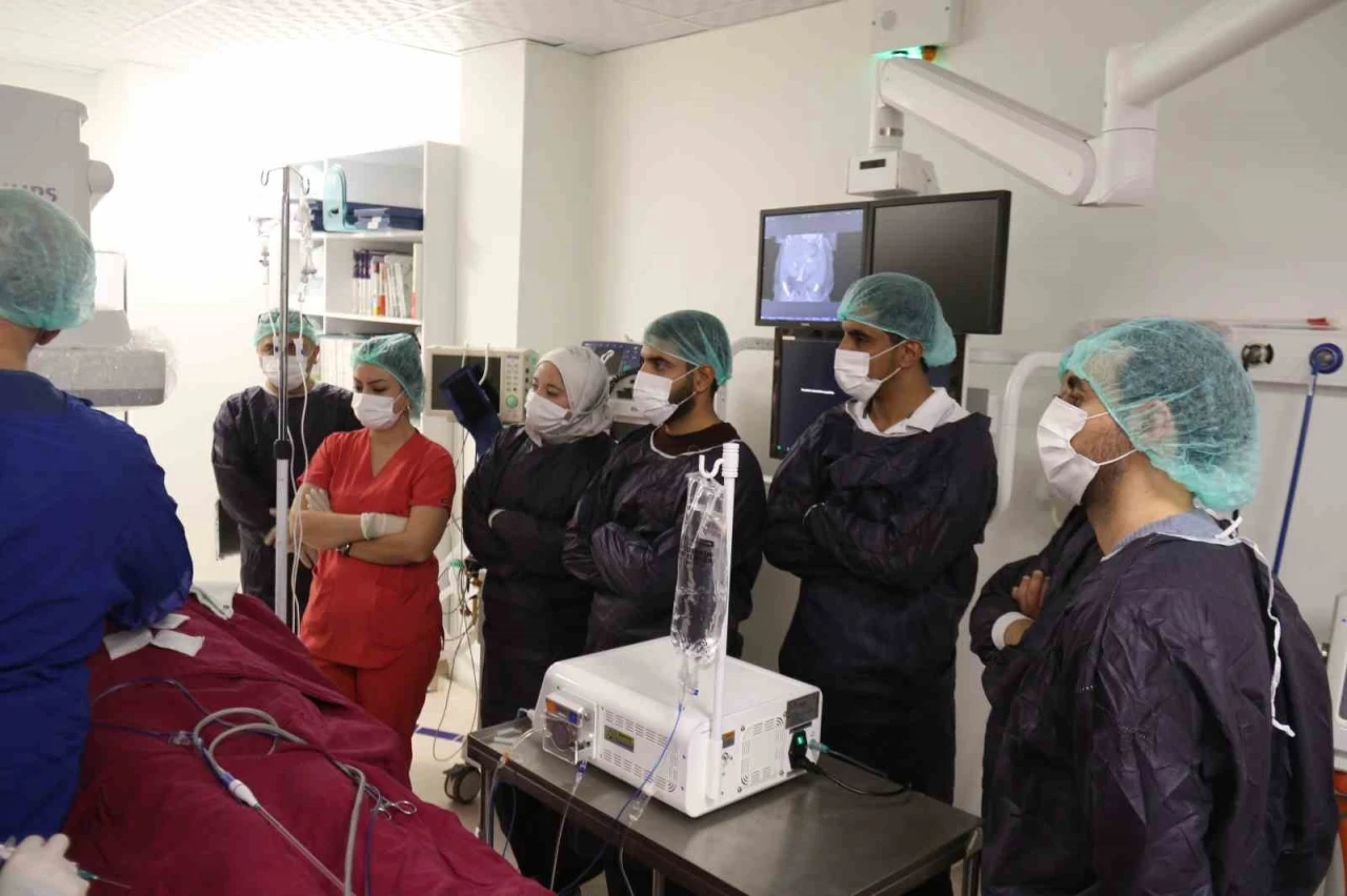 Mısırlı doktorlar tecrübe için Türk doktorlarını seçti
