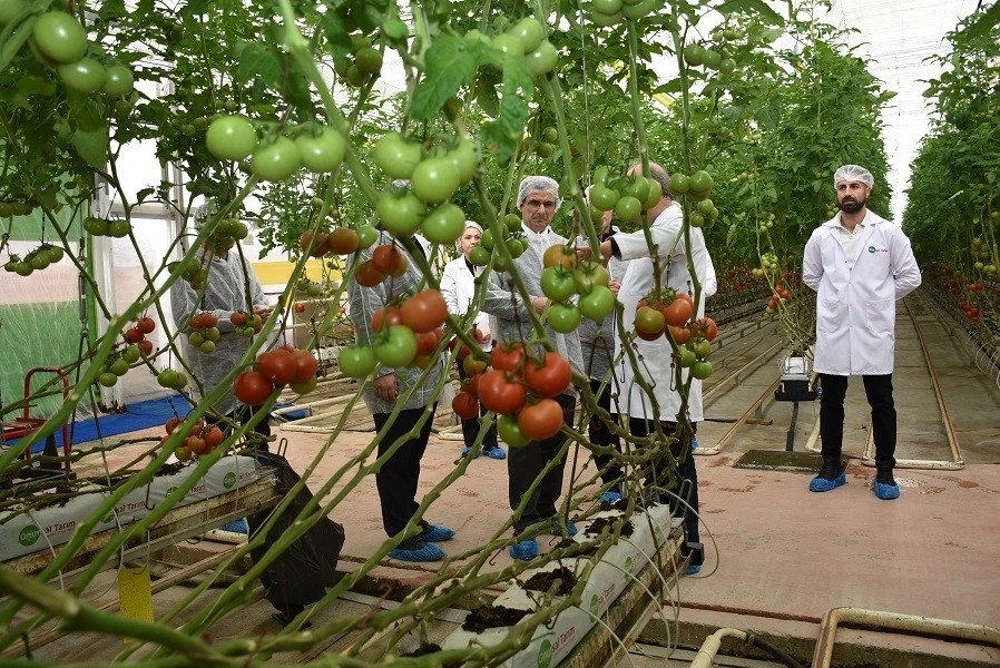 Modern sera yatırımları Salihli&rsquo;de tarımı g&uuml;&ccedil;lendiriyor
