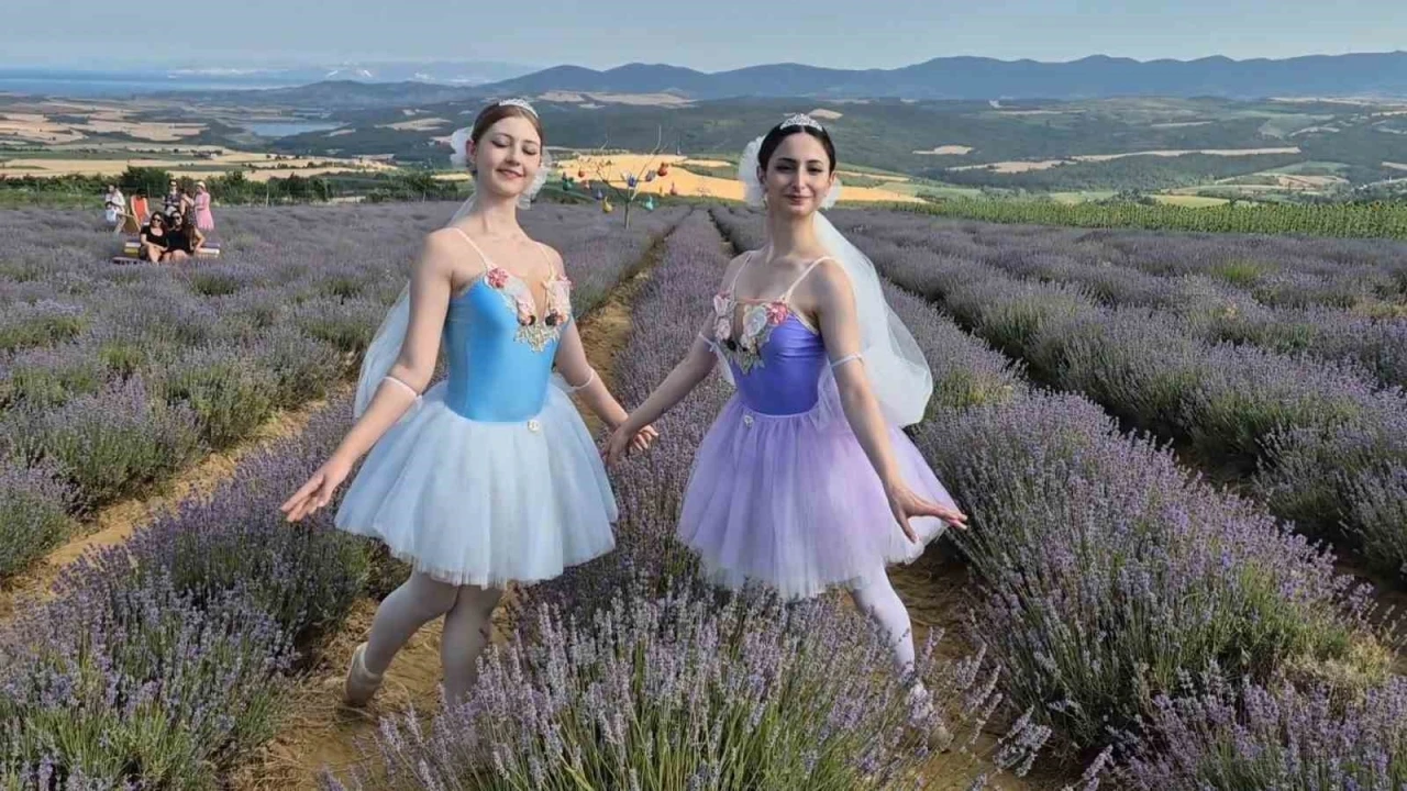 Mor tarlada şenlik
