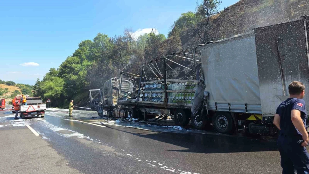 Motor yağı yüklü tır alev alev yandı, ormana sıçrayan yangın güçlükle söndürüldü
