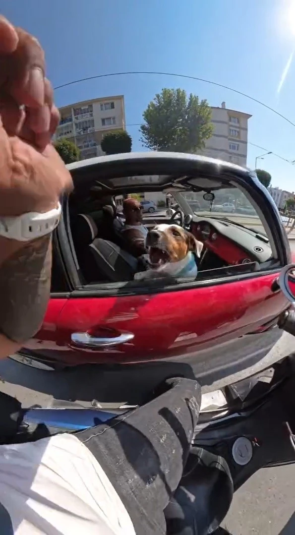 Motosiklet sürücüsünün sevmek istediği köpeklerin saldırısına uğradığı anlar kask kamerasında

