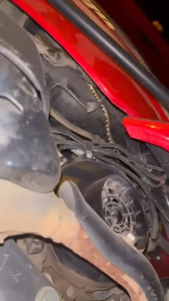 Motosikletin içine giren yılanı tek hamlede çıkardı
