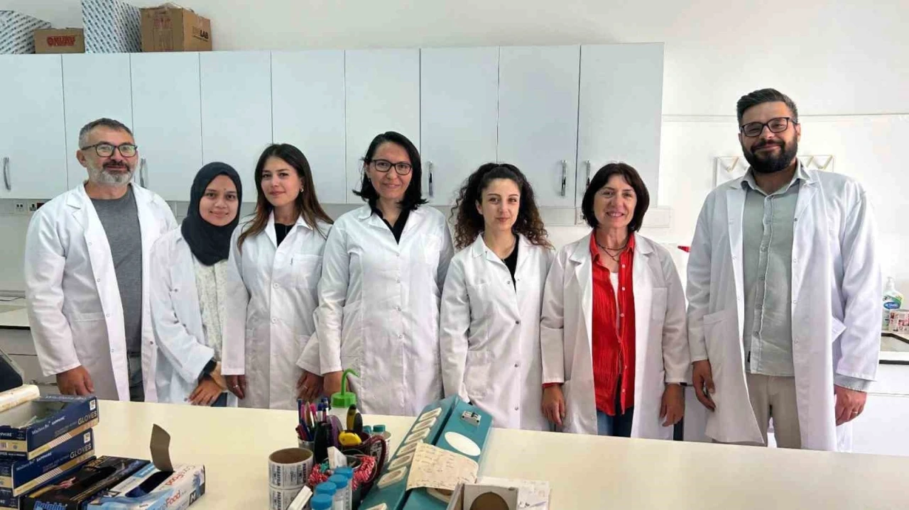 MSKÜ’den bilimsel başarı: ACS Omega kapağında yer aldı
