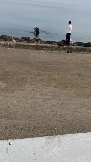 Mudanya sahilinde oltaya takılan martıyı vatandaş kurtardı
