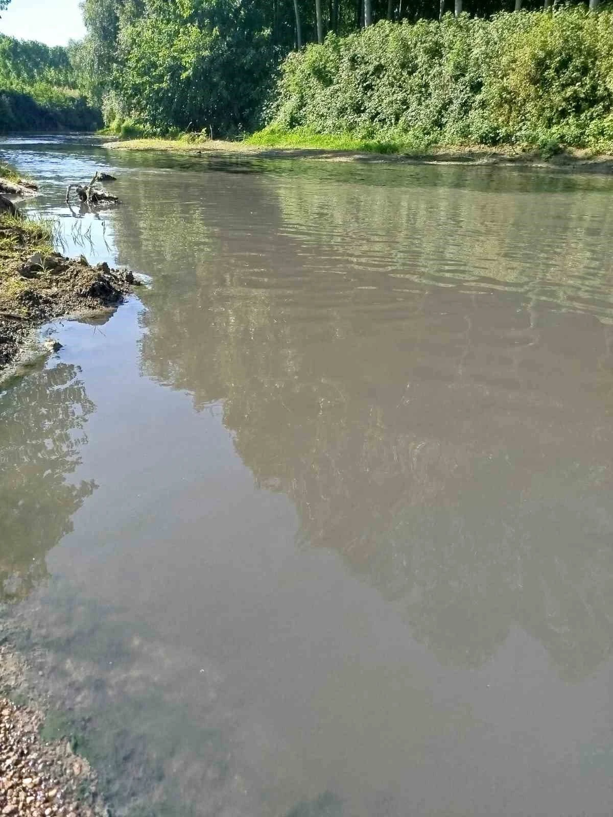 Mudurnu Deresi’nde endişe veren kirlilik