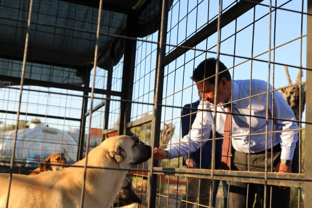 Muğla Büyükşehir'den Can Dostlara Yeni Yuva