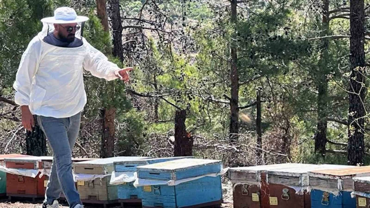 MUĞLA'DA ARICILARA YÖNELİK DESTEKLEME SAYIMI BAŞLADI