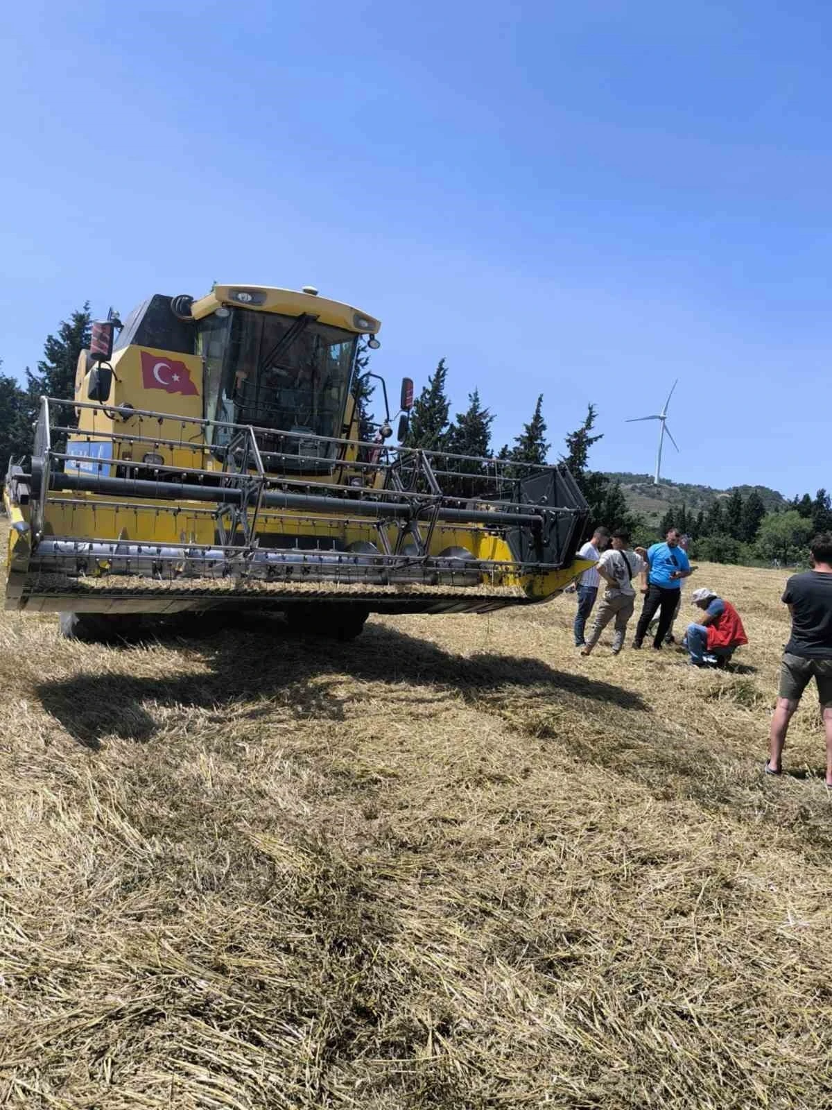 Muğla'da Hububat Hasadı Başladı