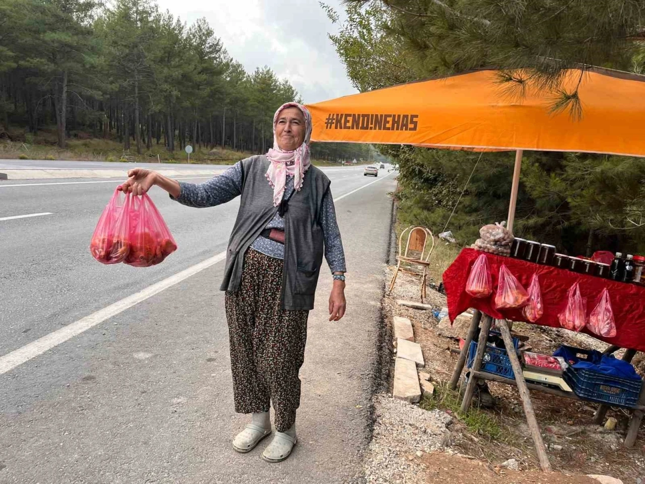 Muğla’da çıntar sezonu başladı