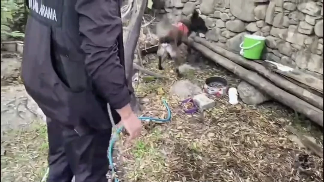 Muğla’da jandarmanın bir haftalık denetimlerinde 59 kişi yakalandı