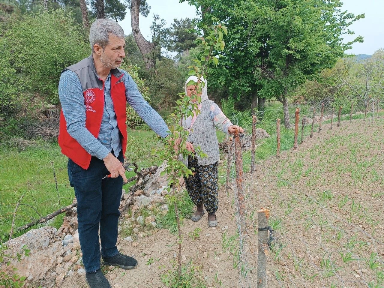 Menteşe'de Tarımsal Üretimde Kalite Kontrolü