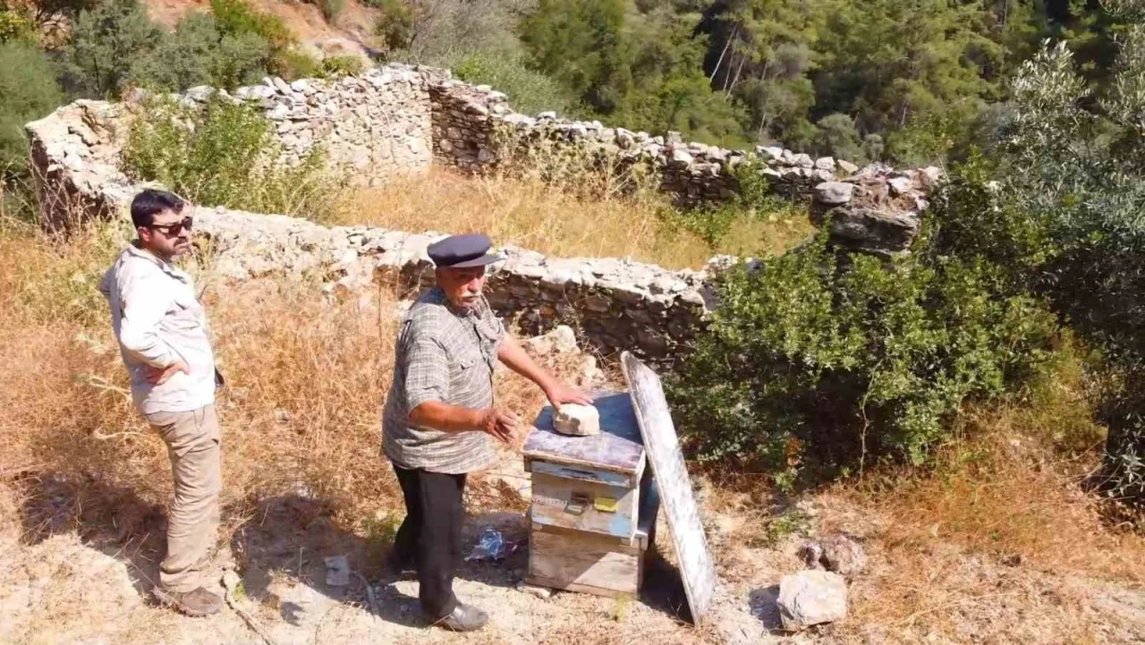 Muğla&rsquo;da kovan barınakları tekrar ayağa kaldırılıyor
