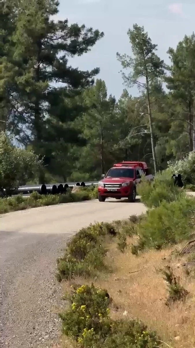 Muğla’da kurumlar yaz aylarında doğayı korumak için teyakkuzda
