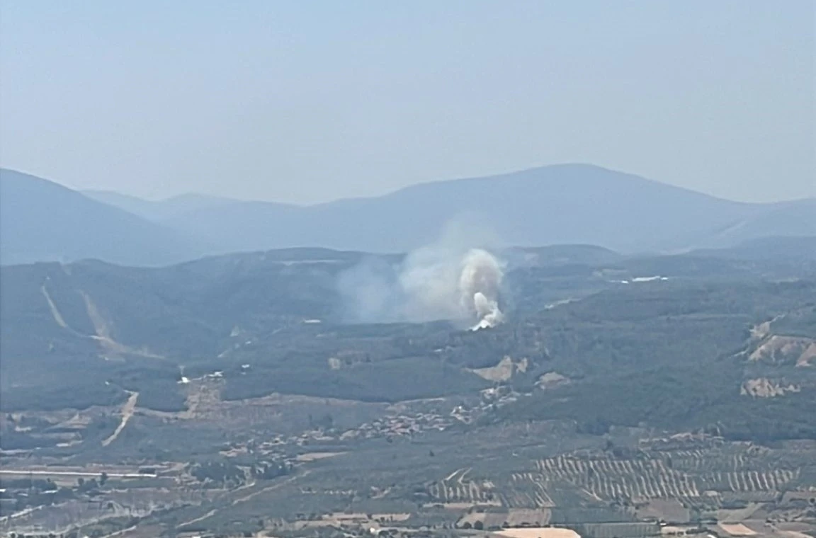 Muğla’da orman yangını
