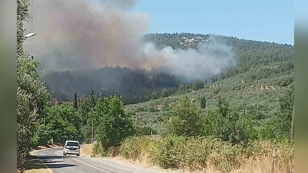 Menteşe'de Orman Yangını