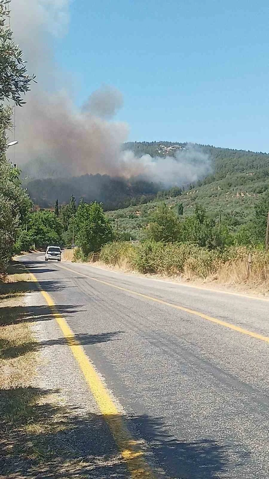 Muğla’da orman yangını
