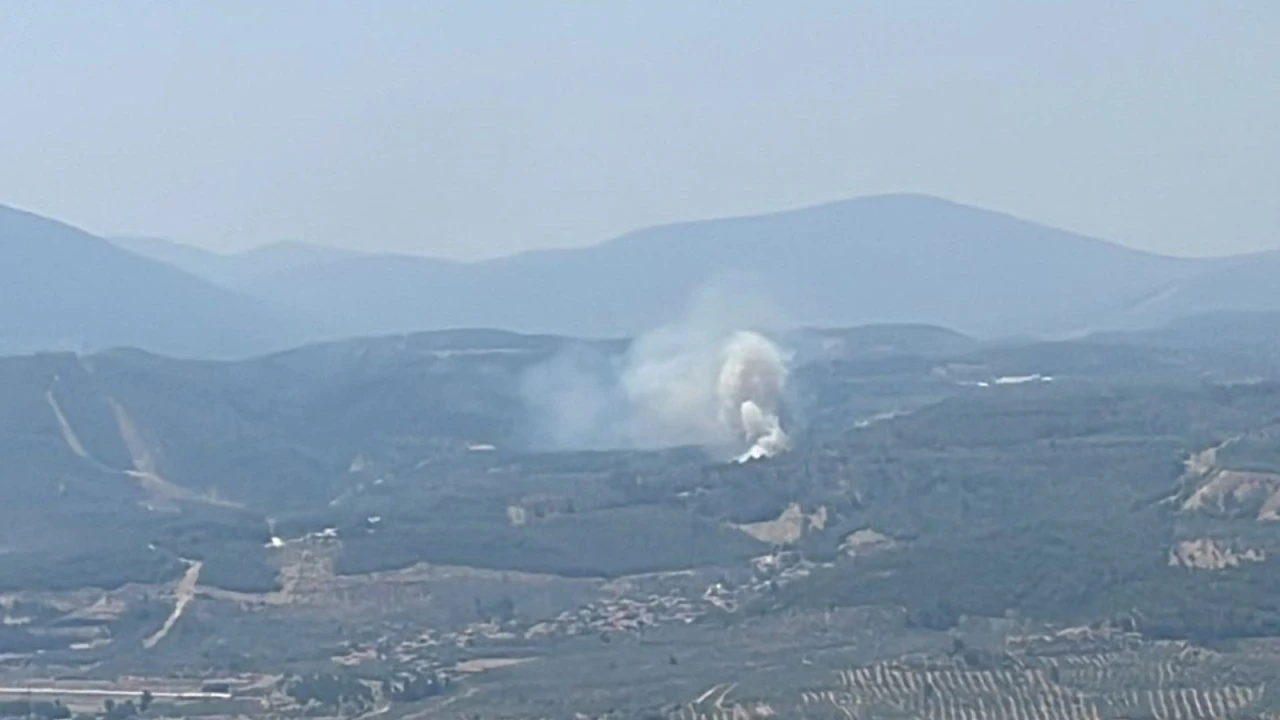 Muğla’da orman yangını