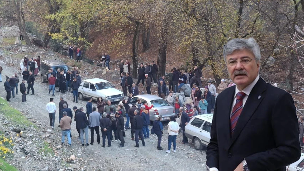 Muğla&rsquo;da "&Ccedil;ED" Krizi: 2 Bin Ağa&ccedil; ve Arıcılık Tehlikede