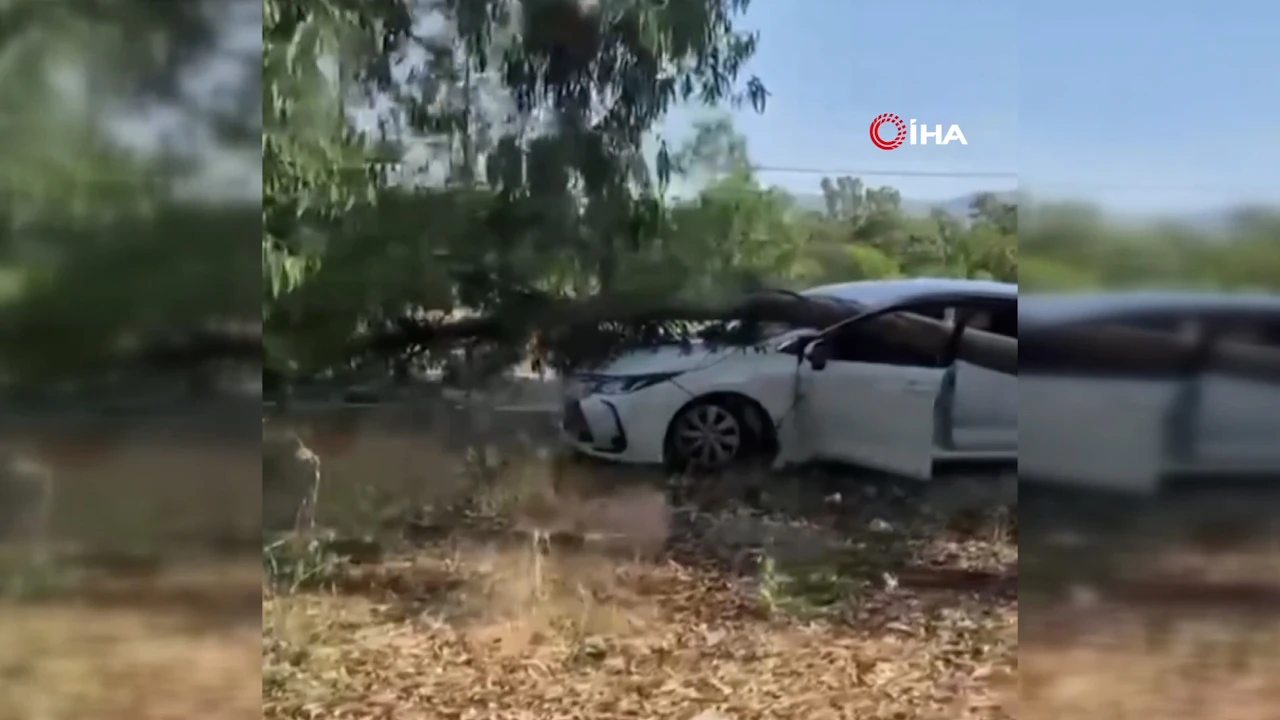 Muğla'da Radar Aracının Üzerine Ağaç Devrildi