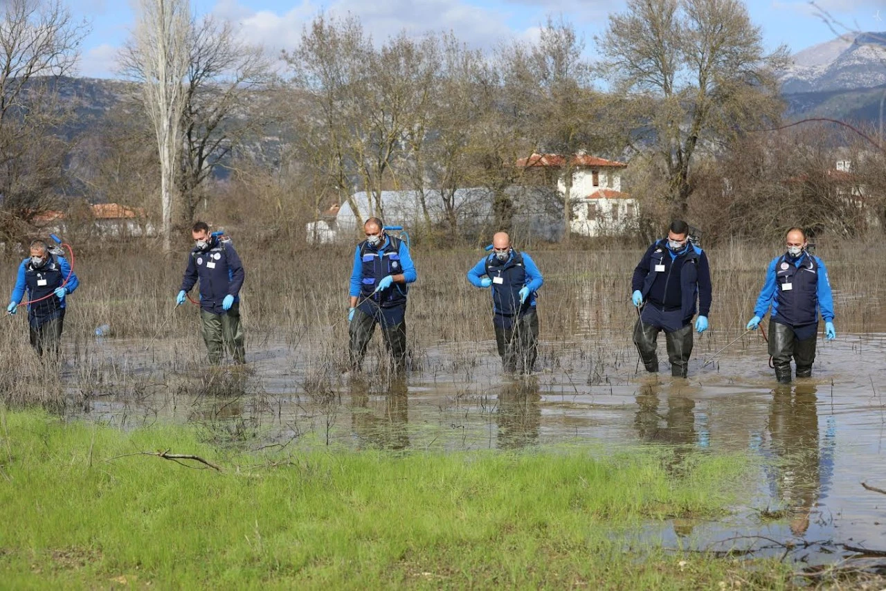 Muğla’da Vektörle Mücadele Aralıksız Sürüyor
