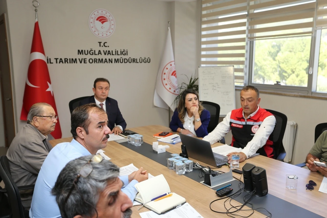Muğla'da Zeytin Rekoltesi Toplantısı