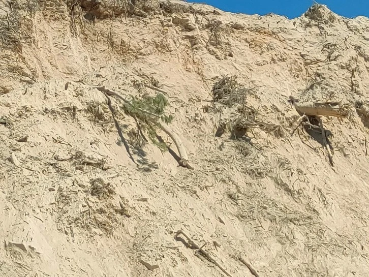MUĞLA’DA ZEYTİN VE AĞAÇLAR 7/24 GÖZETİMDE