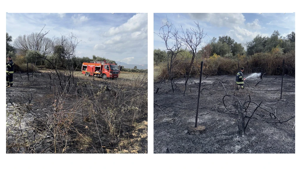 Muğla İtfaiyesi Bozüyük Yangınını Söndürdü