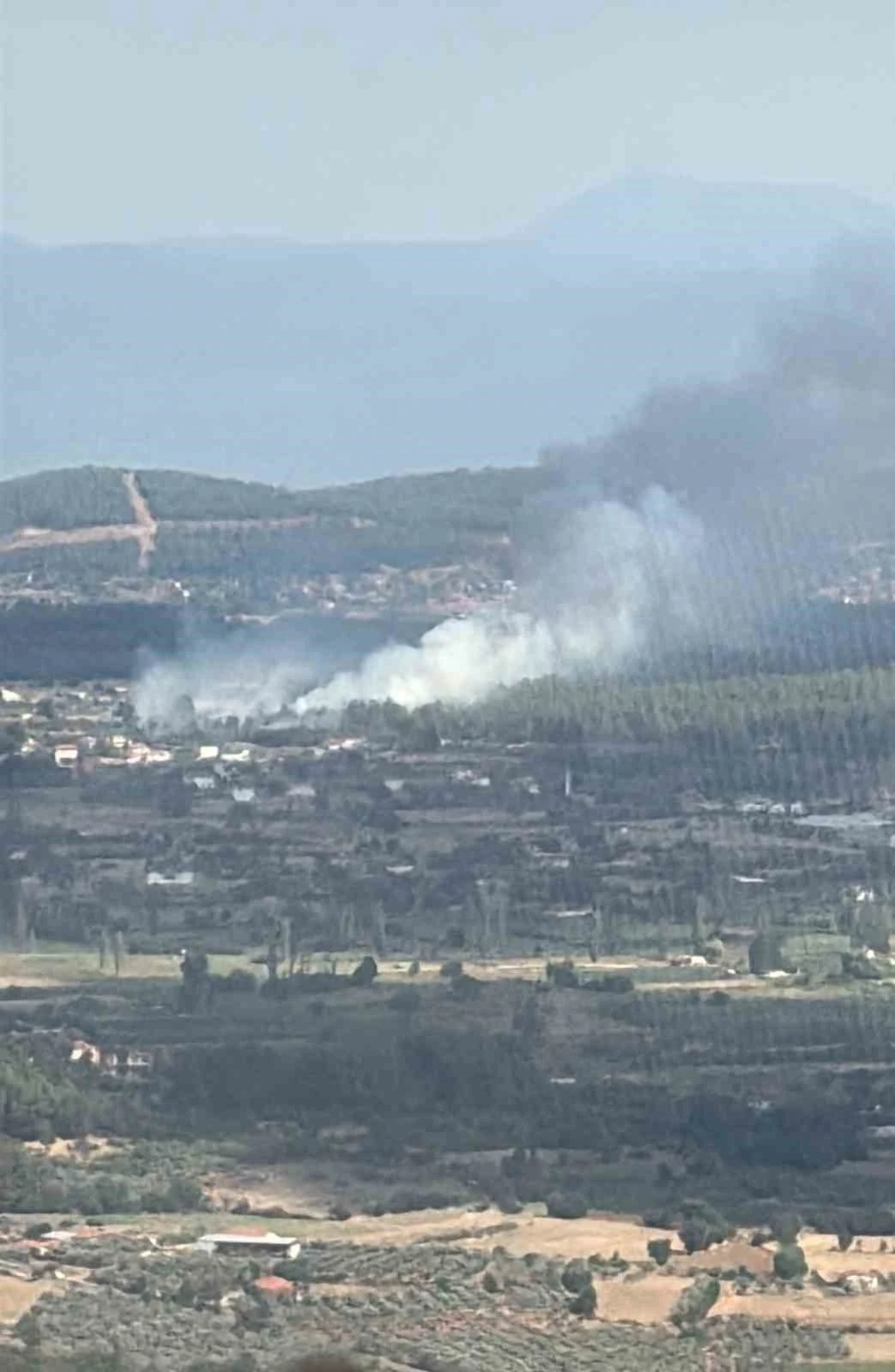 Muğla Menteşe&rsquo;de orman yangını
