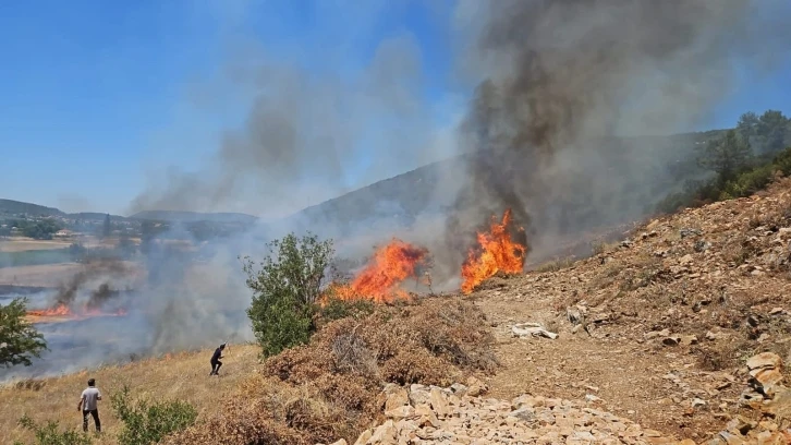 Muğla’nın Menteşe İlçesinde tarım arazisi yangını
