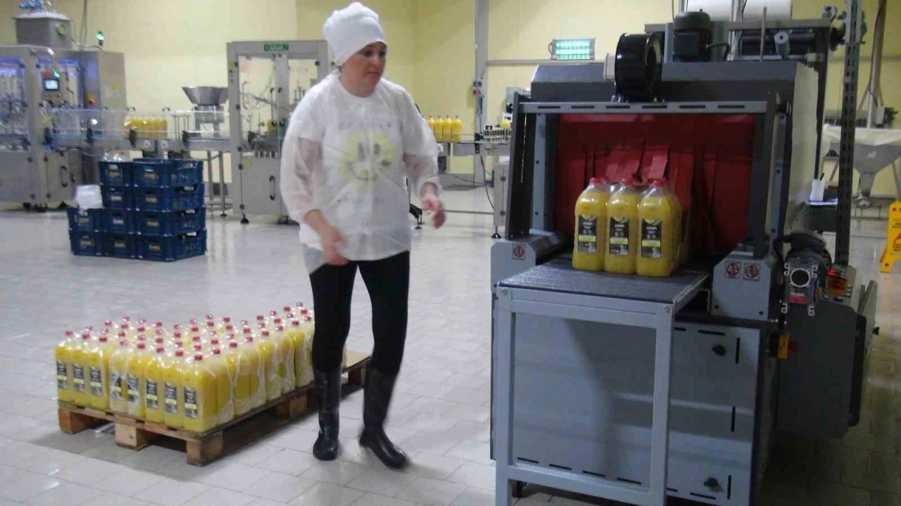 Muğla’nın ürünlerini dünyaya pazarlayacaklar
