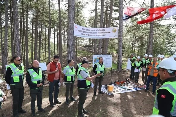 Muğla Orman Bölge Müdürlüğü’nde silvikültür tatbikatları tamamlandı
