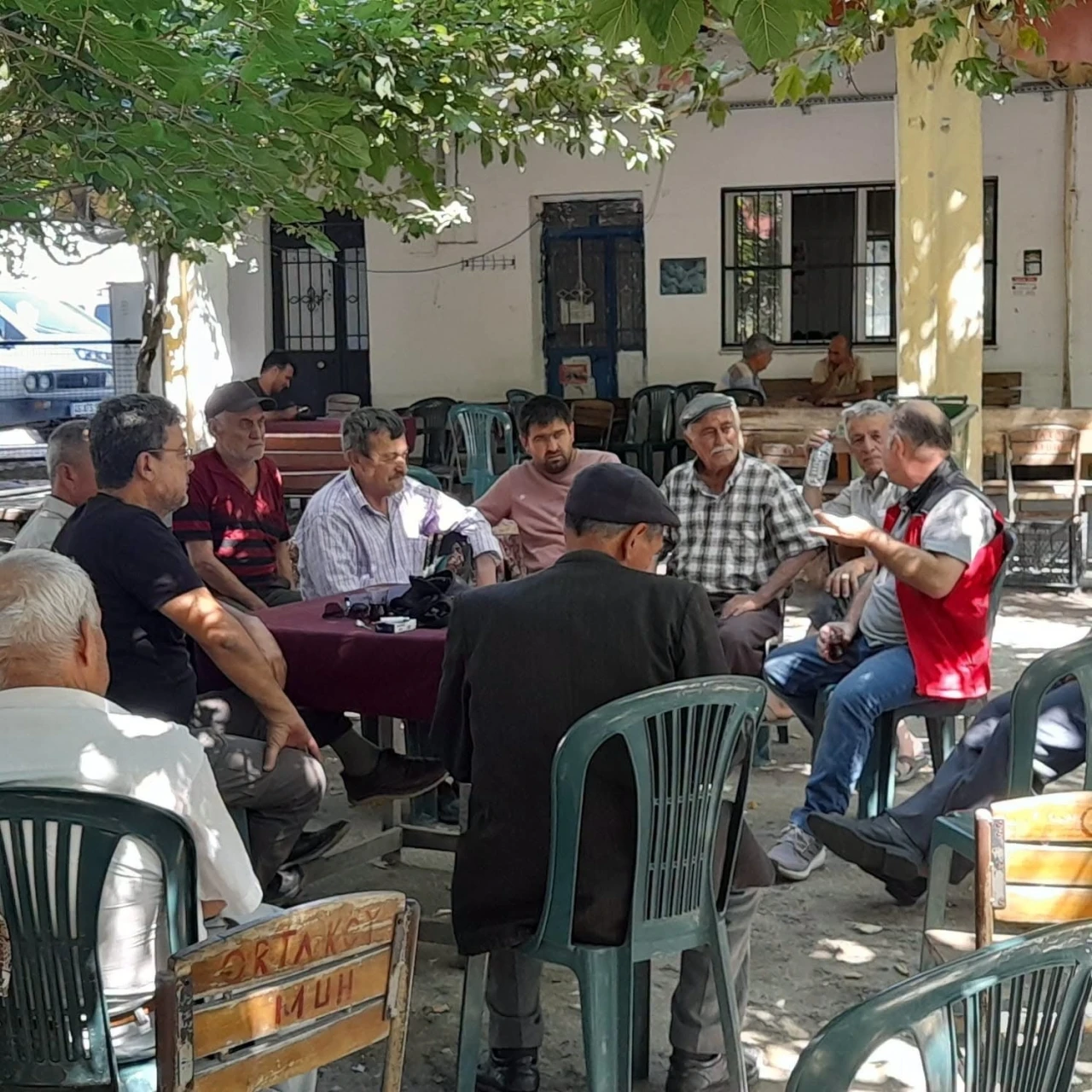 Muğla ve Milas&rsquo;ta tarla faresi m&uuml;cadelesi
