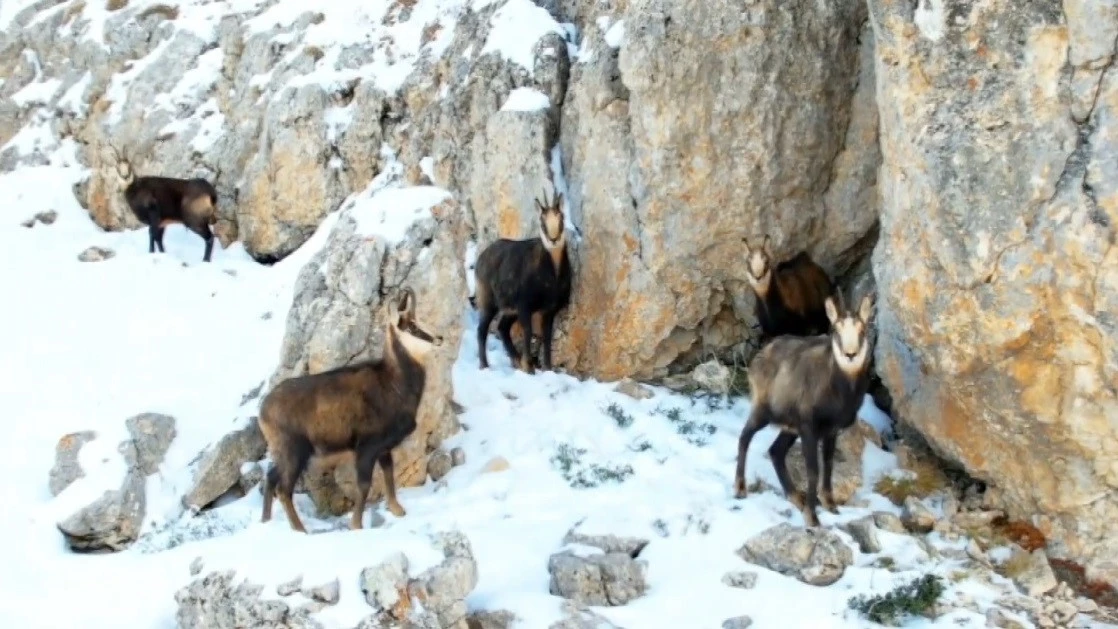 Munzur&rsquo;un beyaz zirvesinde şamualar g&ouml;r&uuml;nt&uuml;lendi
