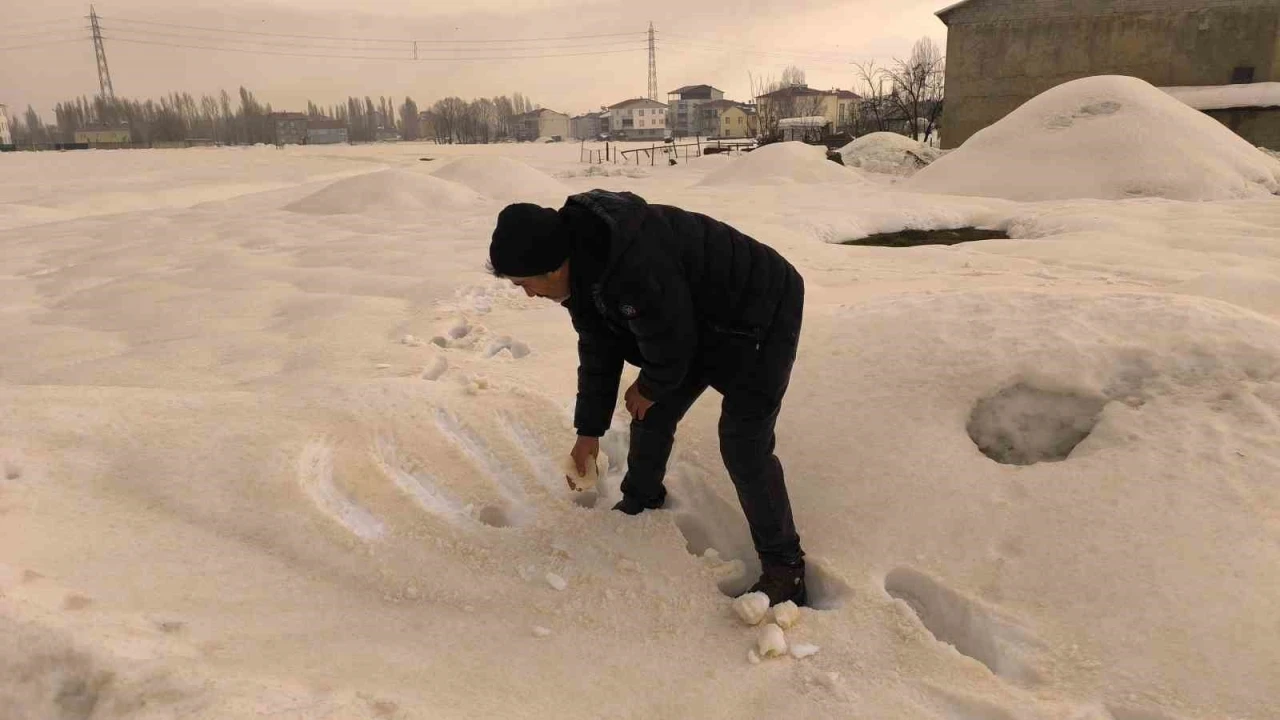 Muş&rsquo;ta bembeyaz kar bir gecede kahverengiye d&ouml;n&uuml;şt&uuml;
