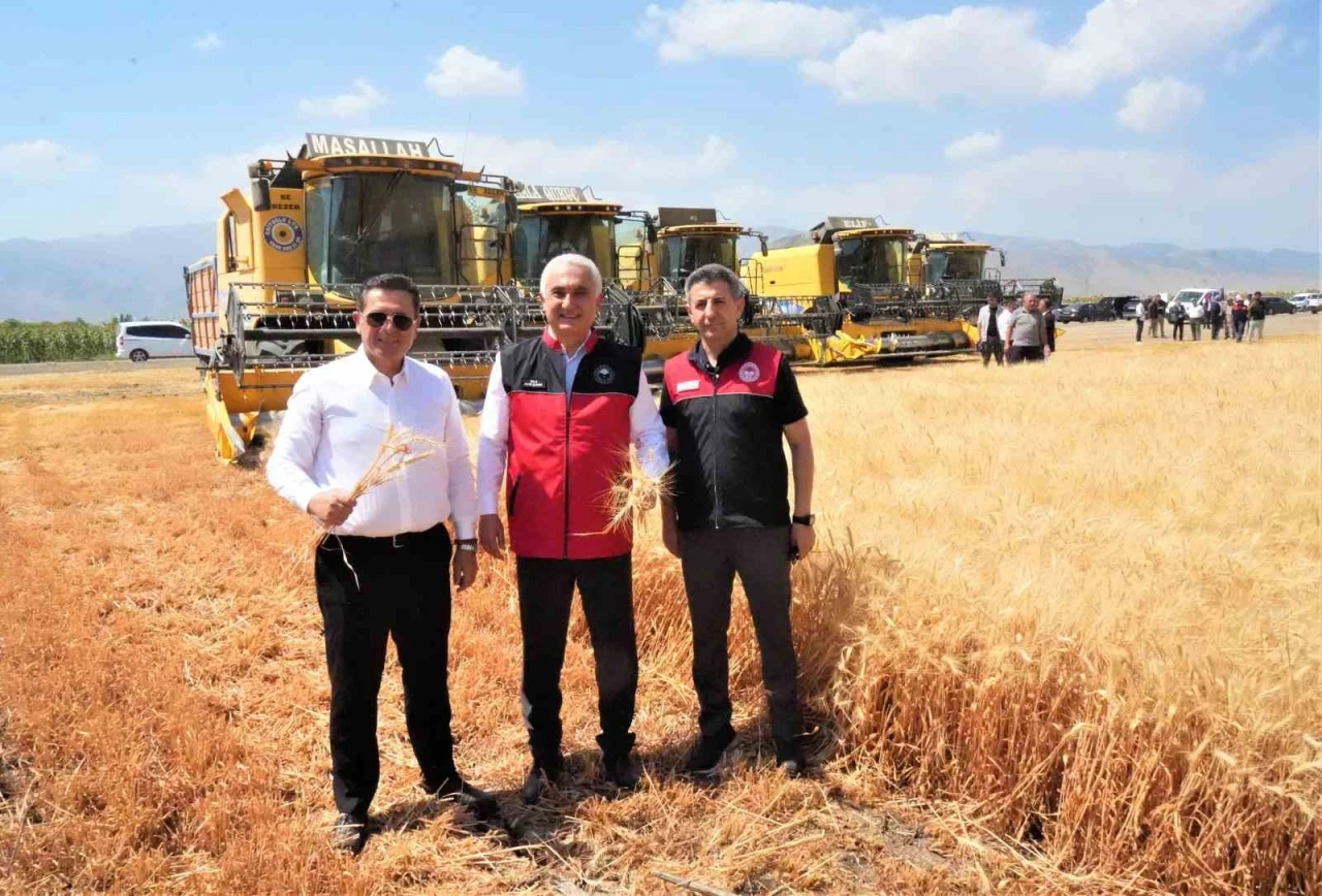Muş’ta milyarlık hasat başladı

