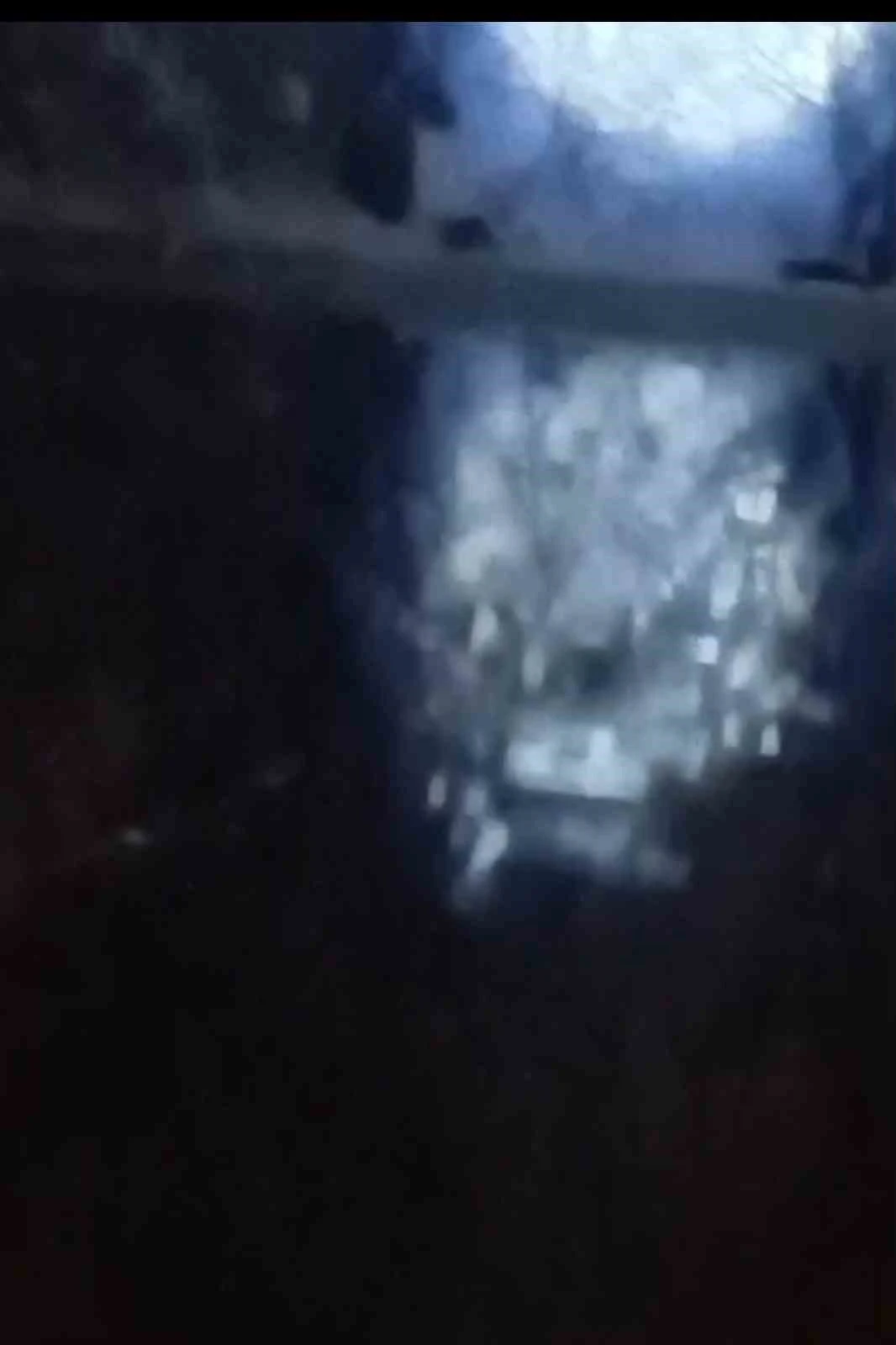 Muş&rsquo;ta nehir kıyısında su samurları g&ouml;r&uuml;nt&uuml;lendi
