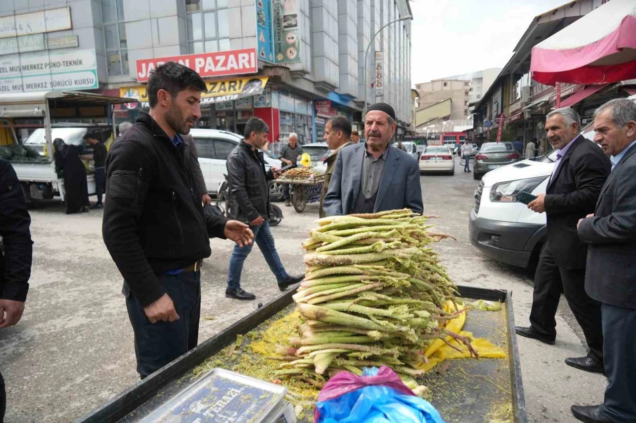Muş’ta ’yayla muzu’ tezgahlarda yerini aldı
