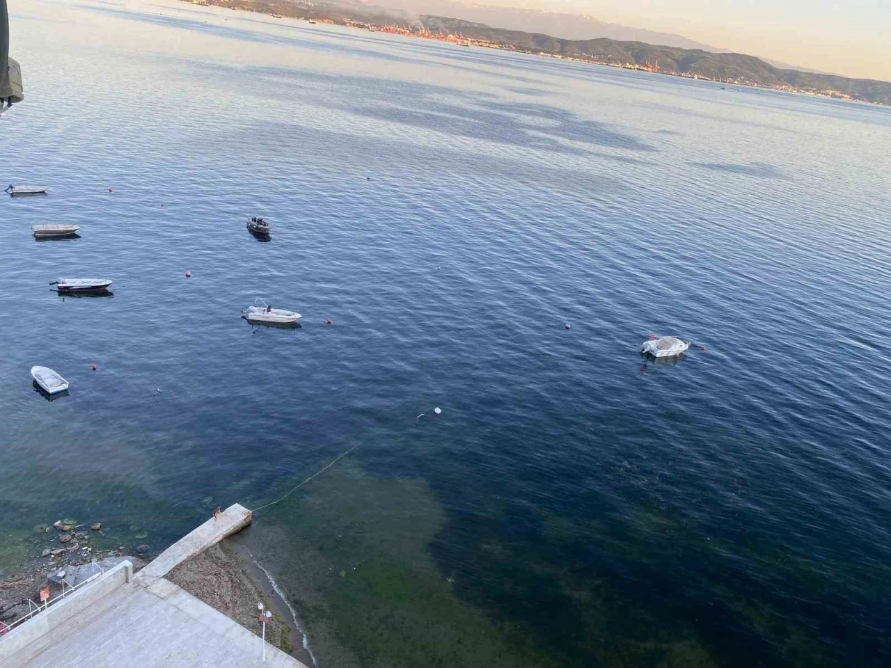 M&uuml;silajın ardından Gemlik K&ouml;rfezi&rsquo;nde sevindiren g&ouml;r&uuml;nt&uuml;ler
