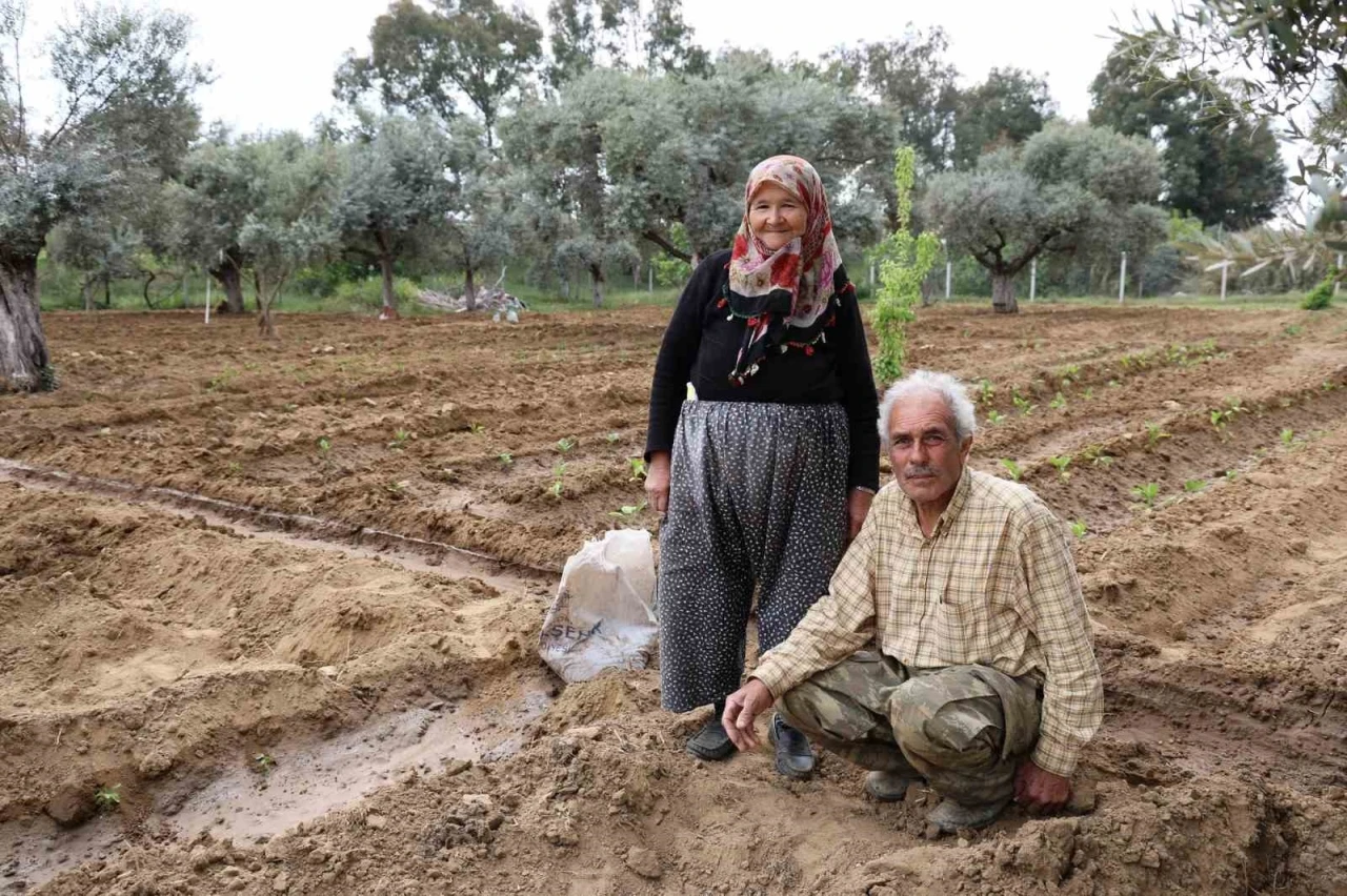 Mutluluğu toprakta buldular
