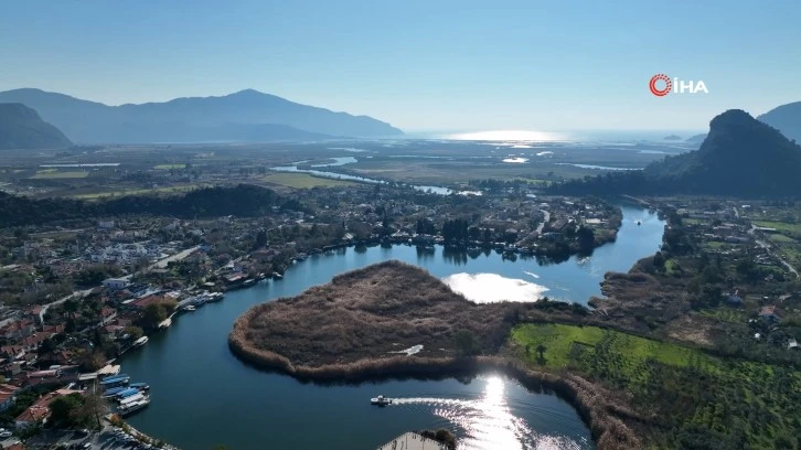 MUĞLA'NIN ŞİFALI BİTKİLERİ