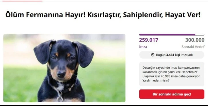 TEPKİLER ÇIĞ GİBİ BÜYÜYOR: ÖLÜM FERMANINA HAYIR!