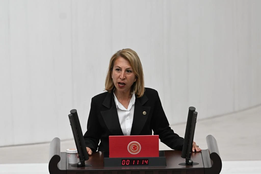 MİLLETVEKİLİ DERİCİ, YIKIM OLAYINI GÜNDEME GETİRDİ