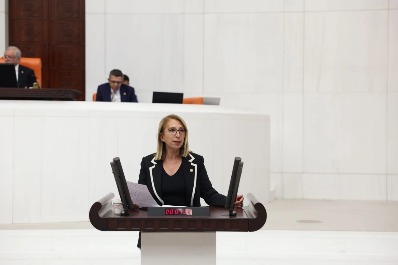 MİLLETVEKİLİ DERİCİ; MİRASIMIZ YOK EDİLİYOR