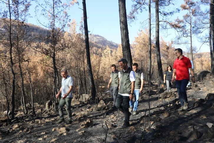 AĞAÇLANDIRMA ÇALIŞMALARI MUĞLA’DA SÜRÜYOR