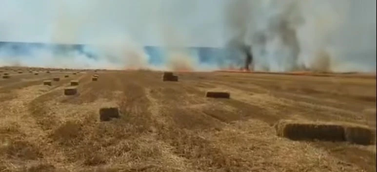 Nallıhan&rsquo;da tarla yangını
