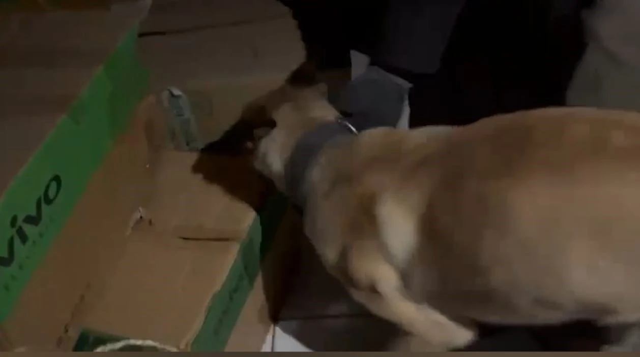 Narkotik köpeği ETA, zehir tacirlerine göz açtırmıyor
