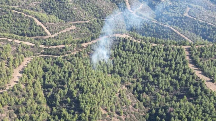 Nazilli&rsquo;de orman yangını
