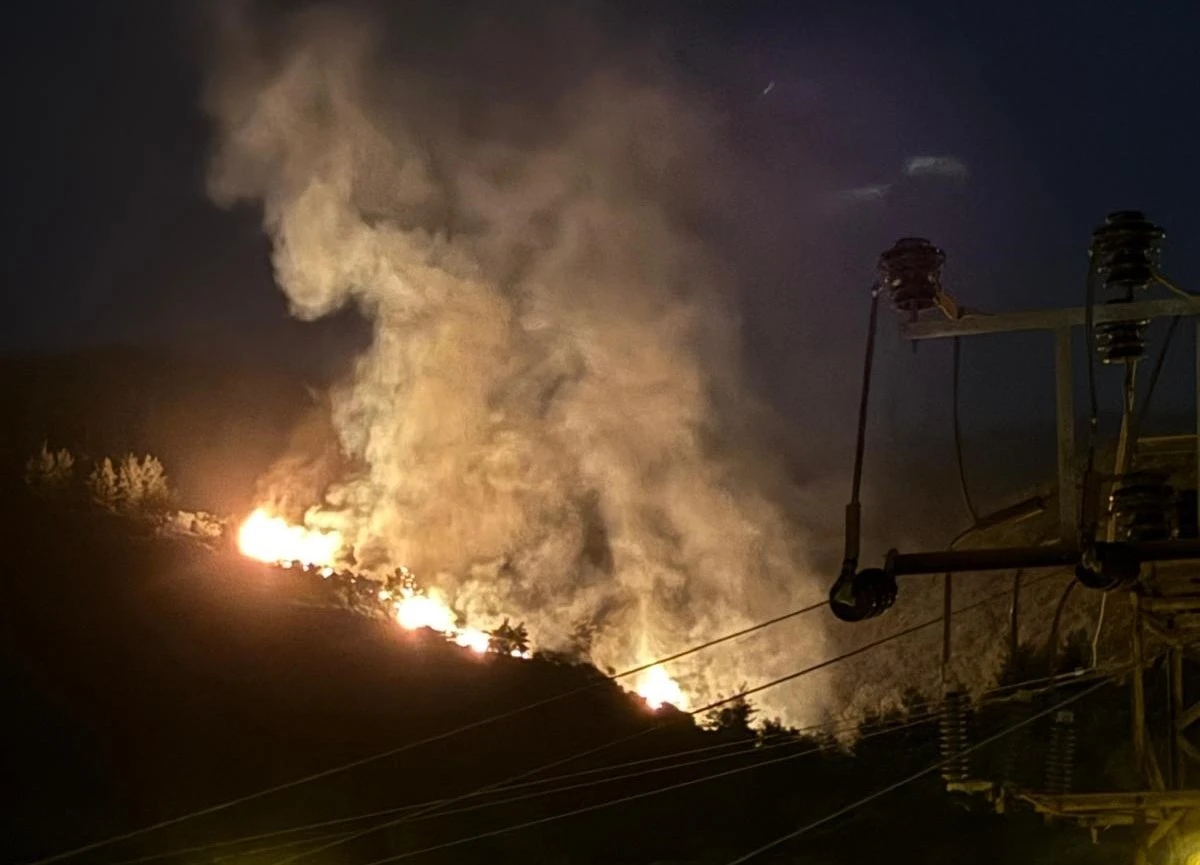 Nazilli’de orman yangını
