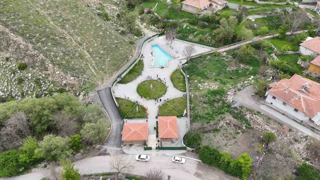 Nesli tükenmekte olan Angora tavşanları yaşatılmaya çalışılıyor

